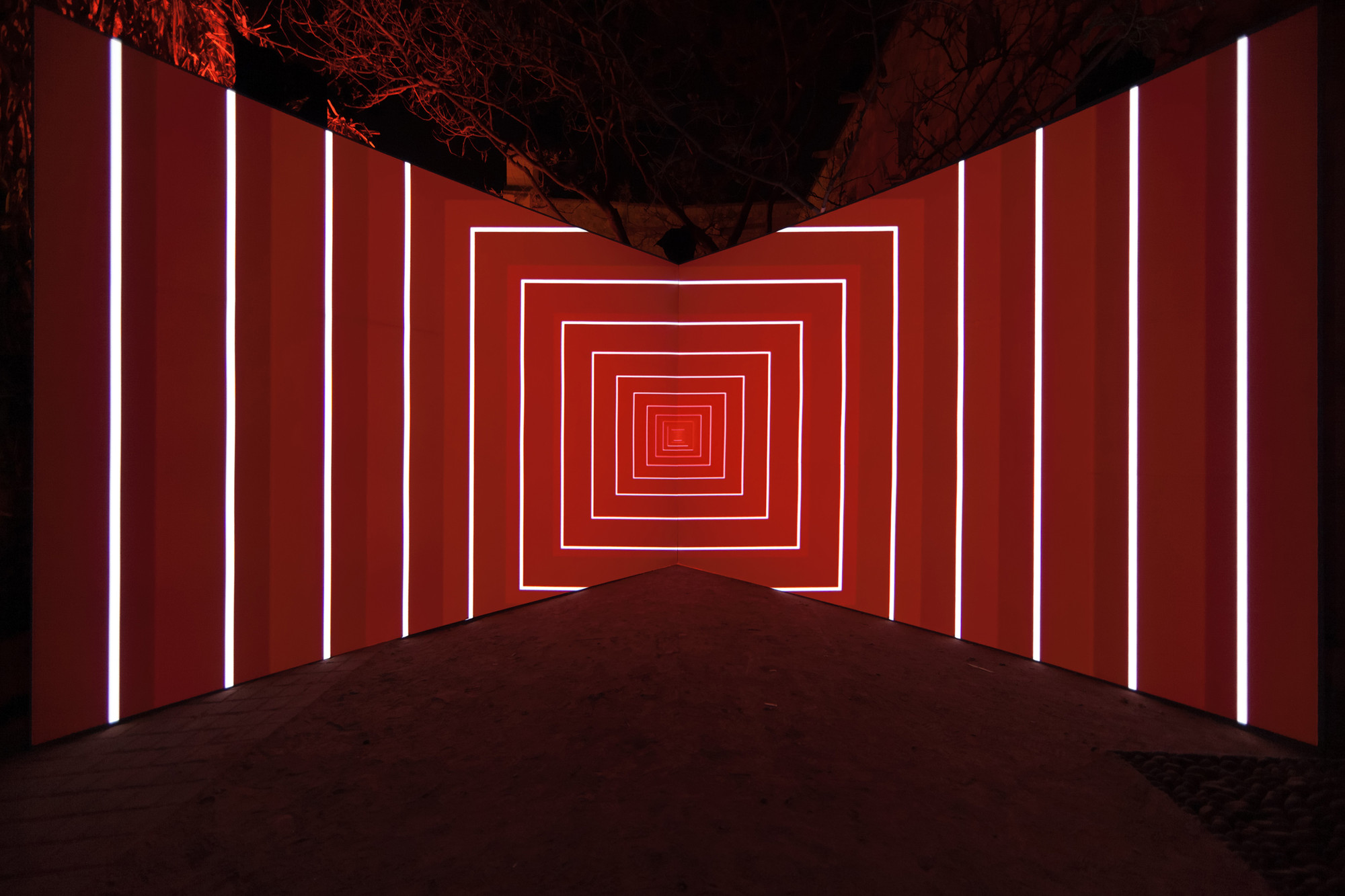 Gallery of Onion Skin / Olivier Ratsi 13