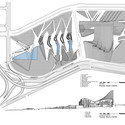Site Plan + Section
