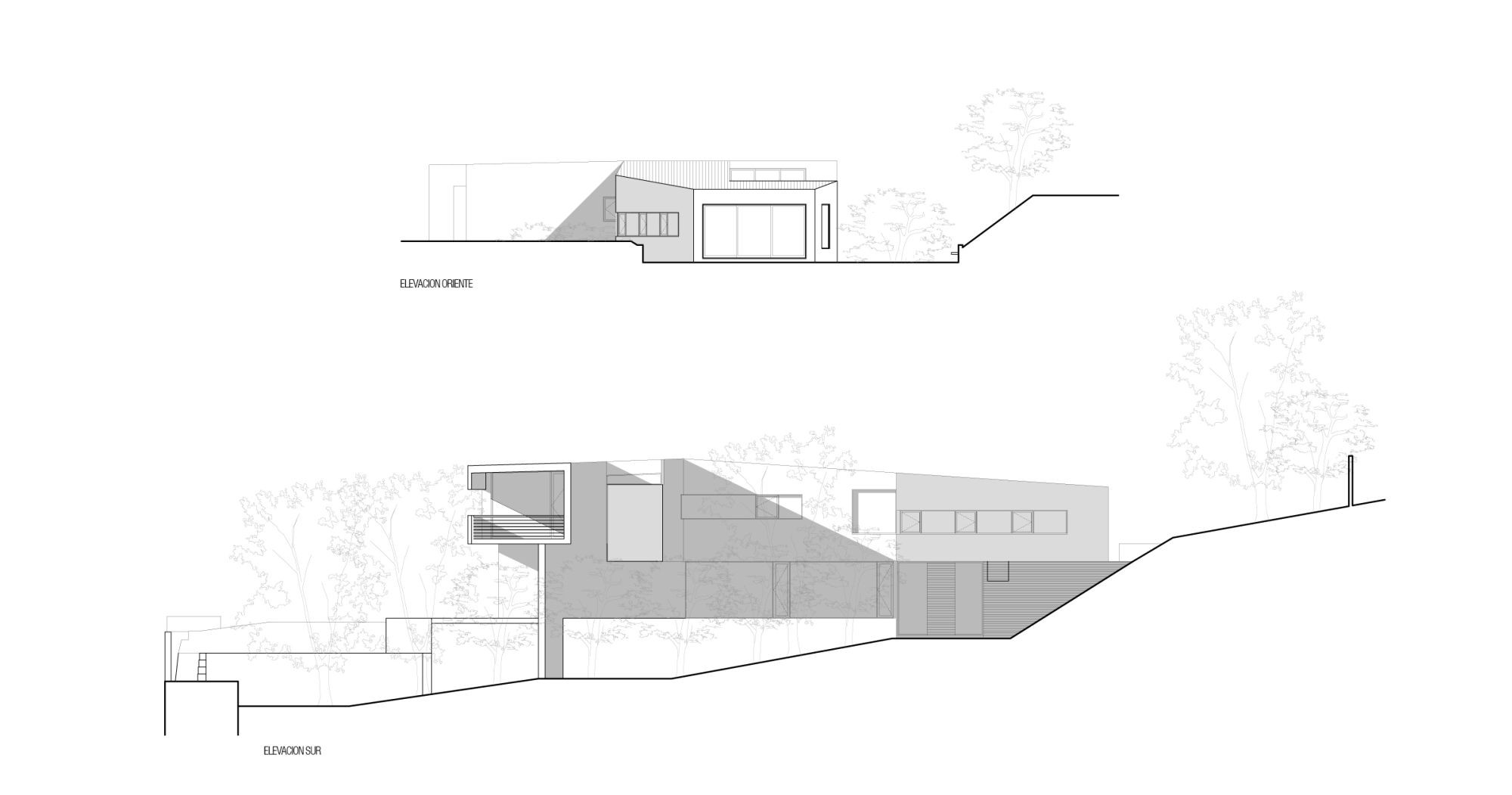 Elevation