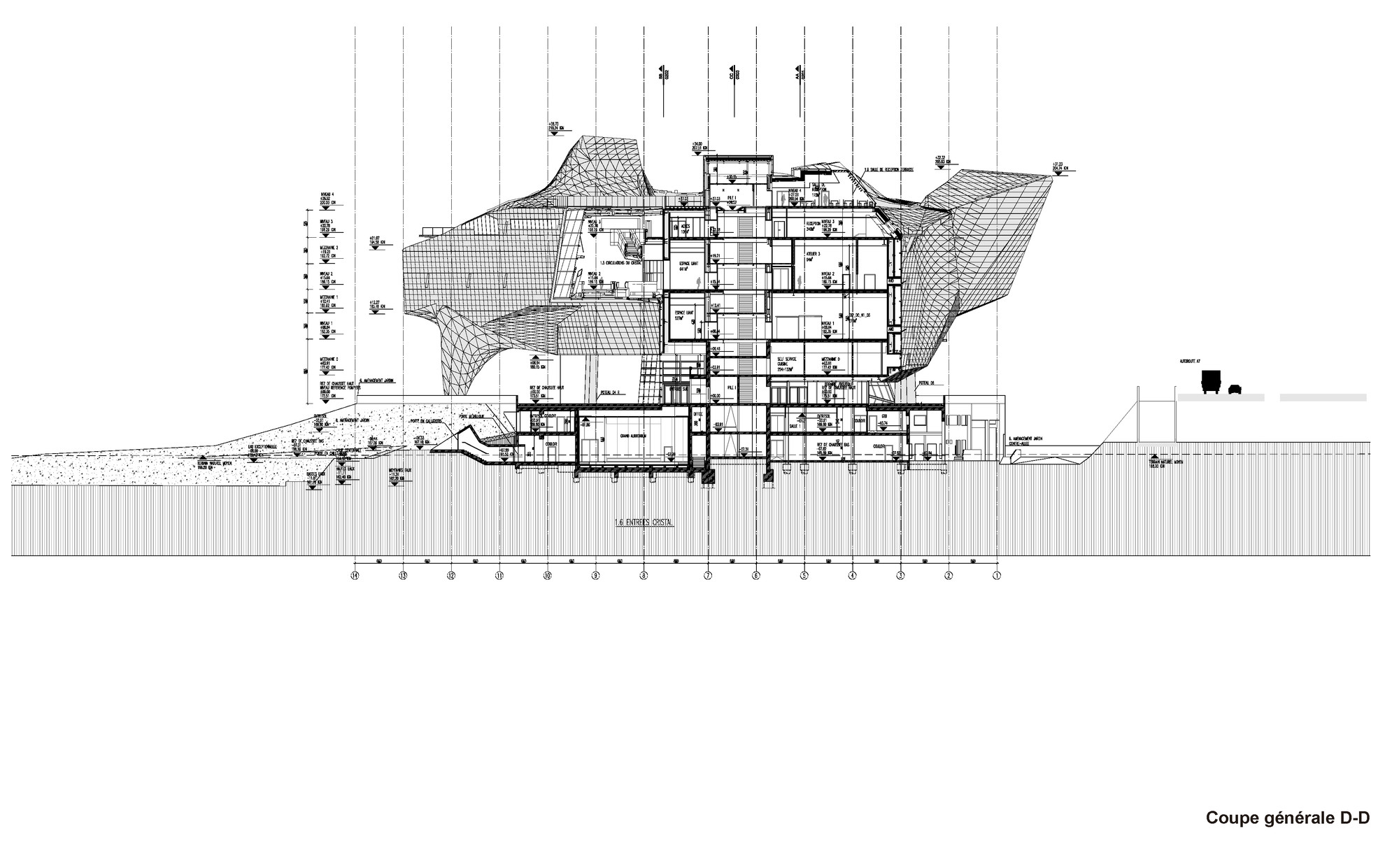 Section D D