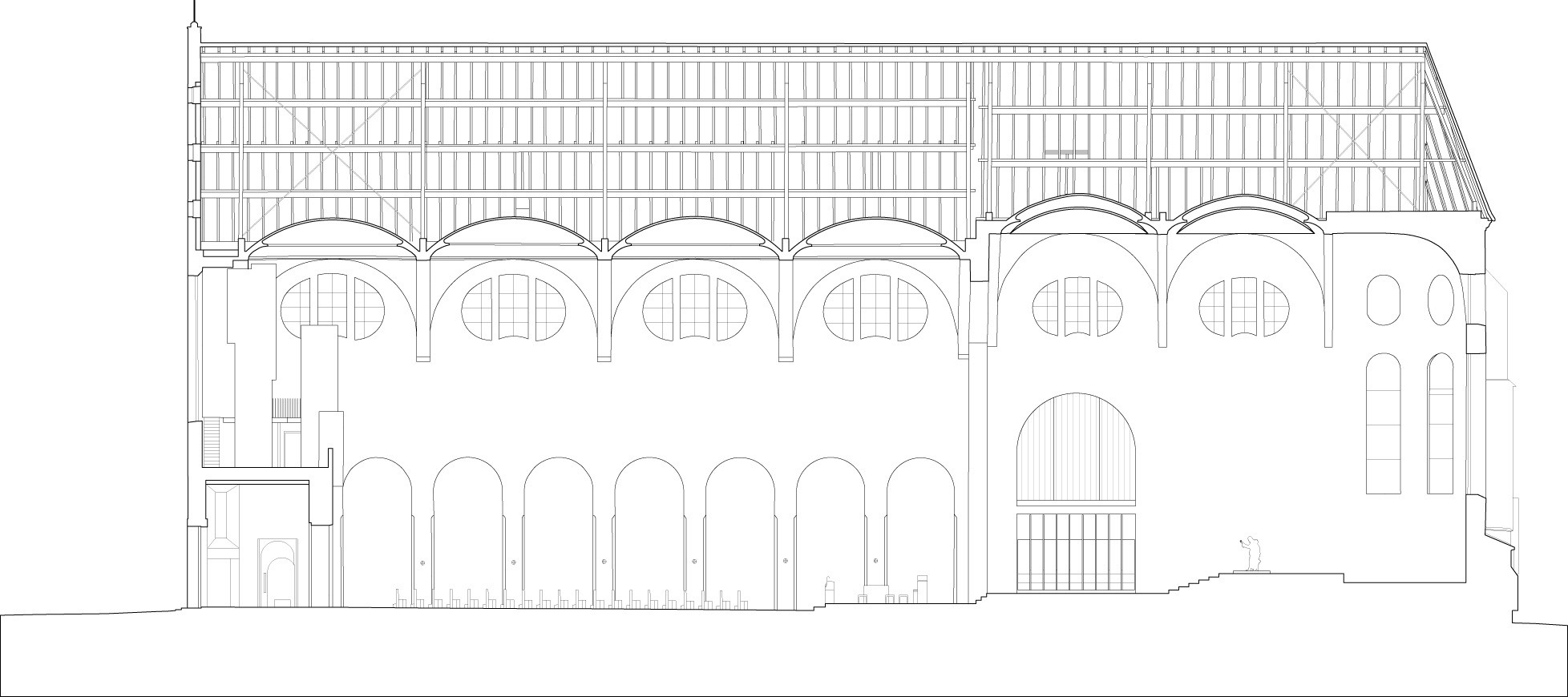 Longitudinal Section