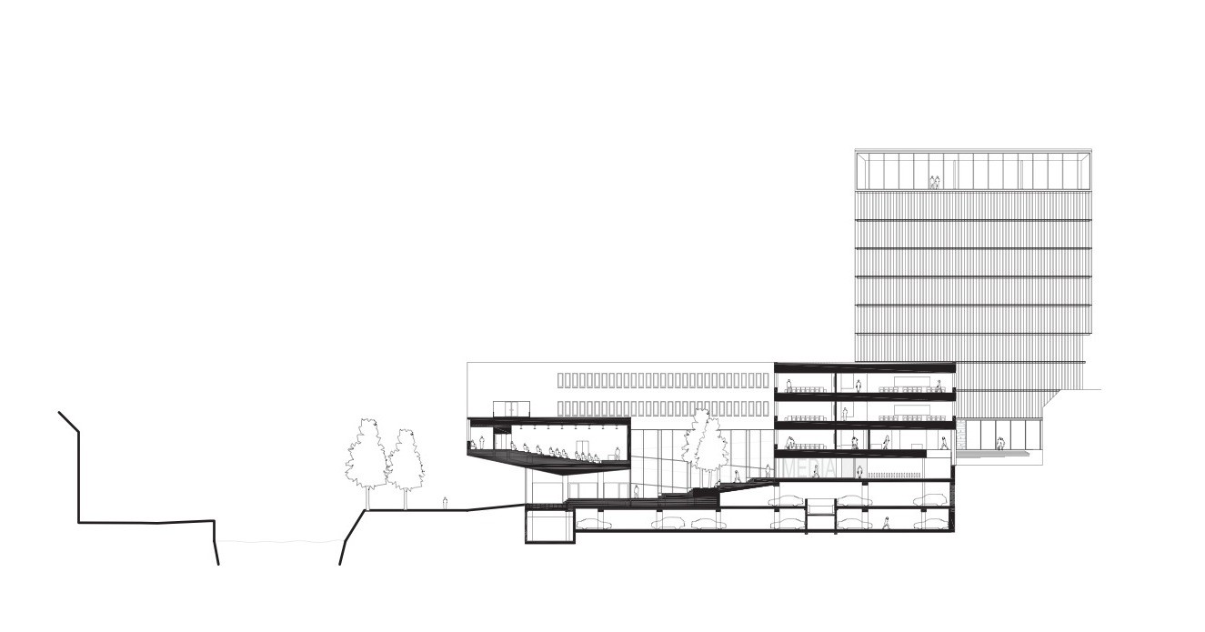 Cross Section
