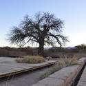 Proyecto de Paisajismo: Tierra Atacama por Teresa Moller - Paisaje Y Arquitectura
