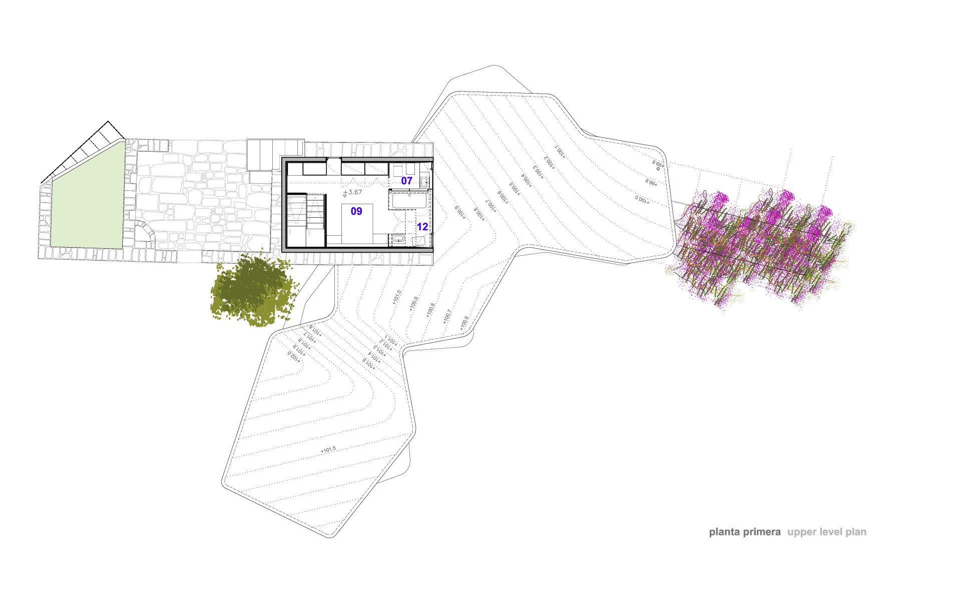 First Floor Plan