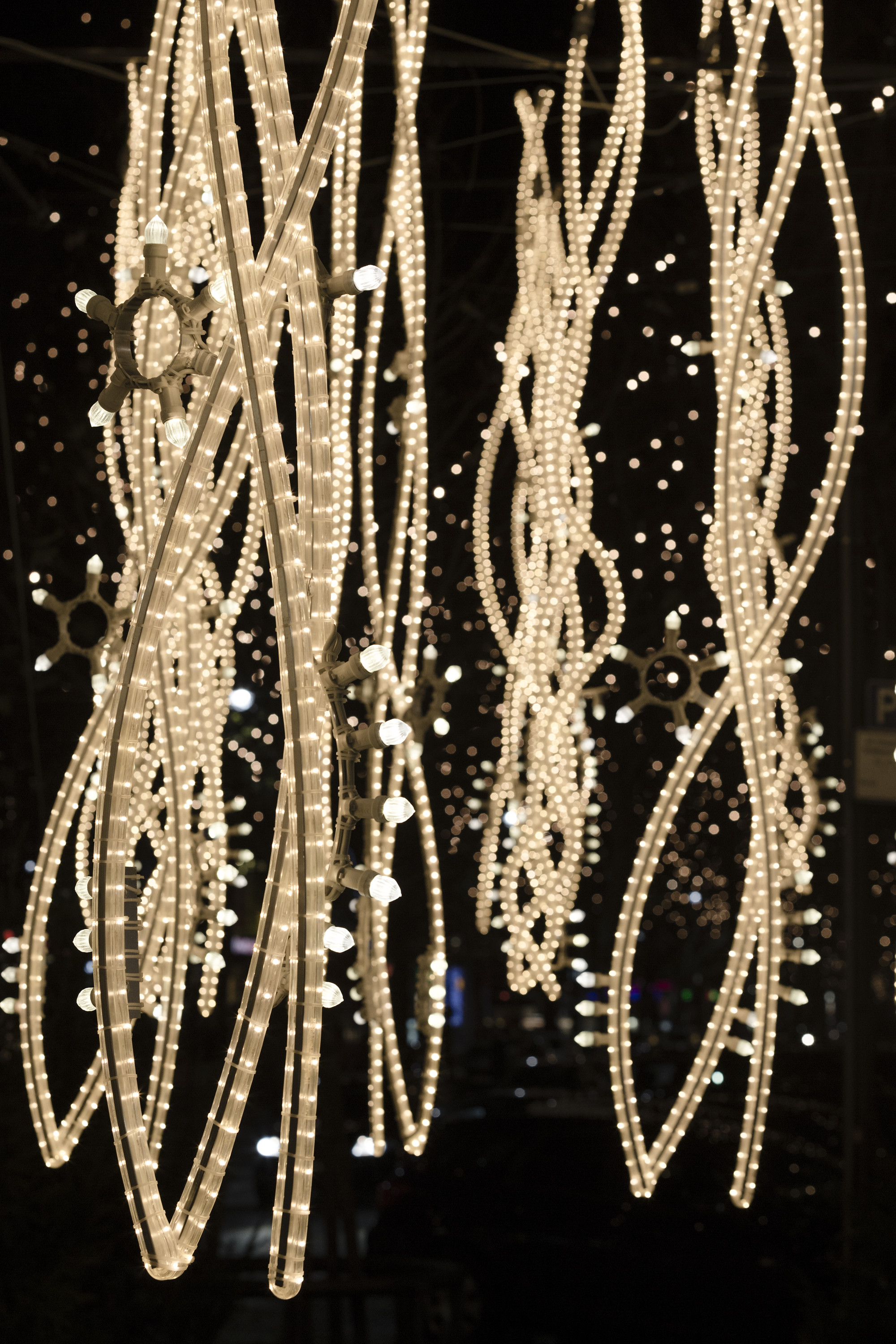 Елочная гирлянда. The christmas lights. Deluxe christmas lights. Deluxe christmas lights. Красивые гирлянды.