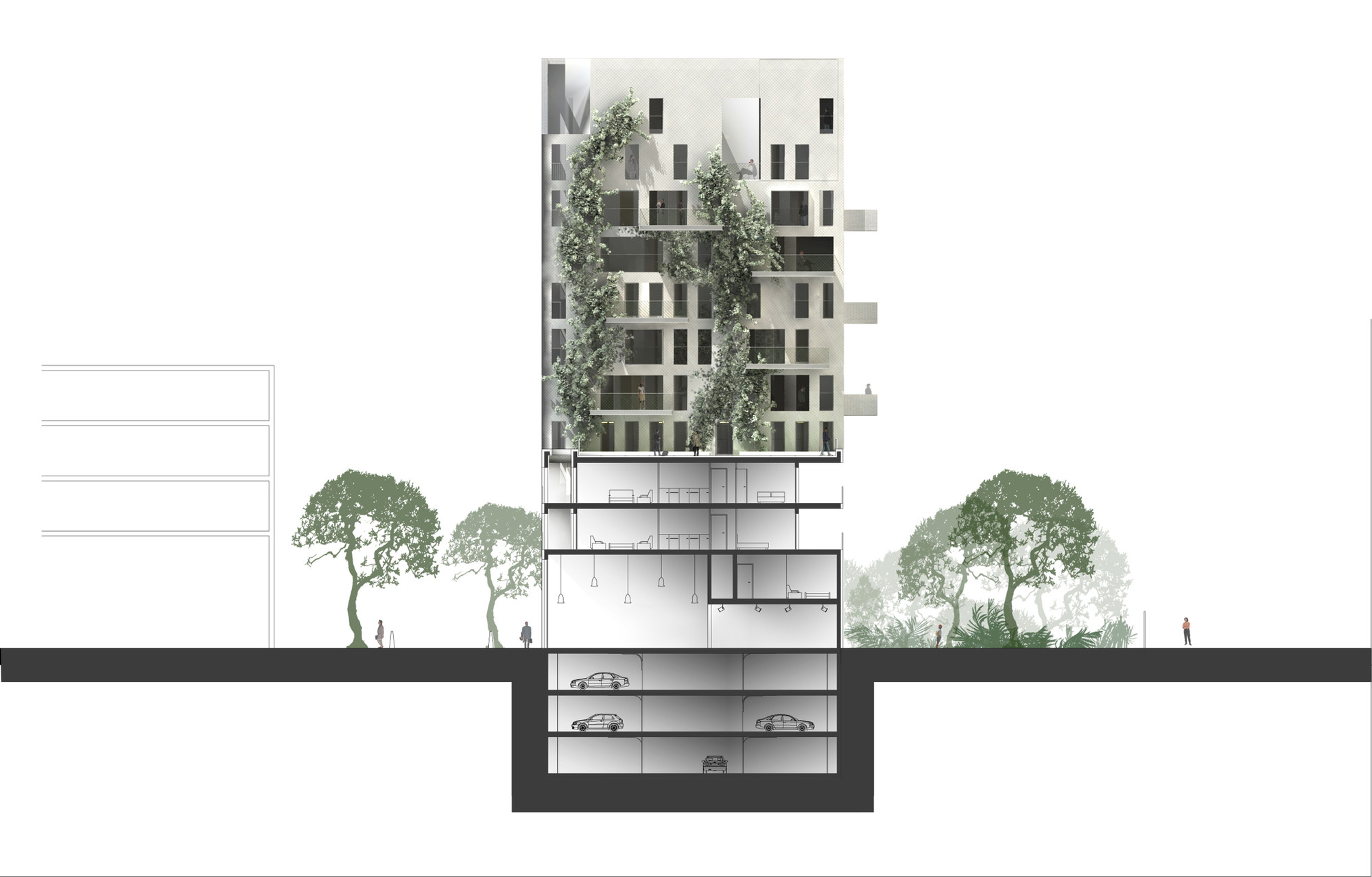Elevation