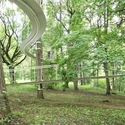 Un camino en el bosque por Tetsuo Kondo Arquitectos - Paisaje Y Arquitectura