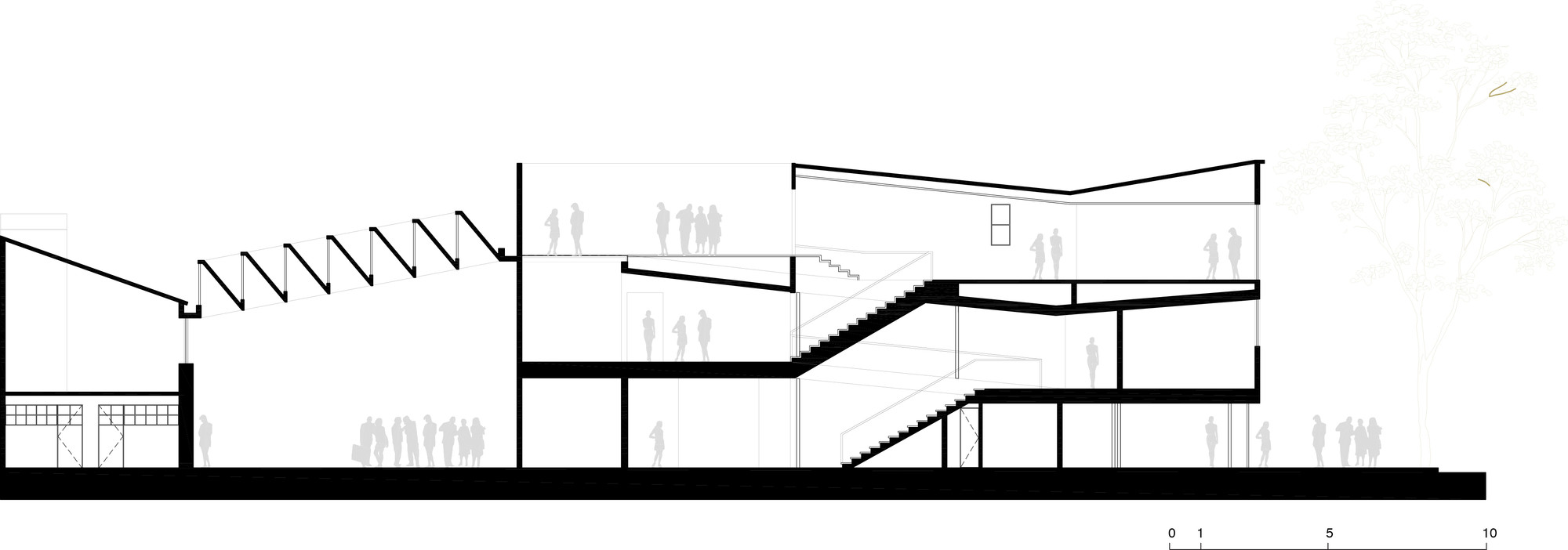 Elevation
