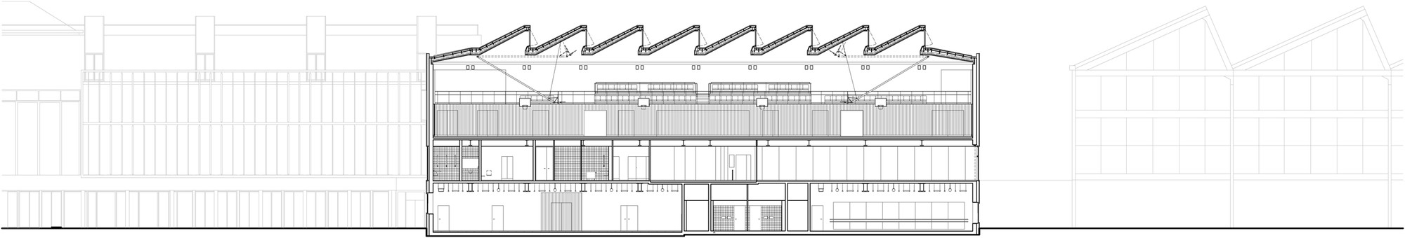 Longitudinal Section