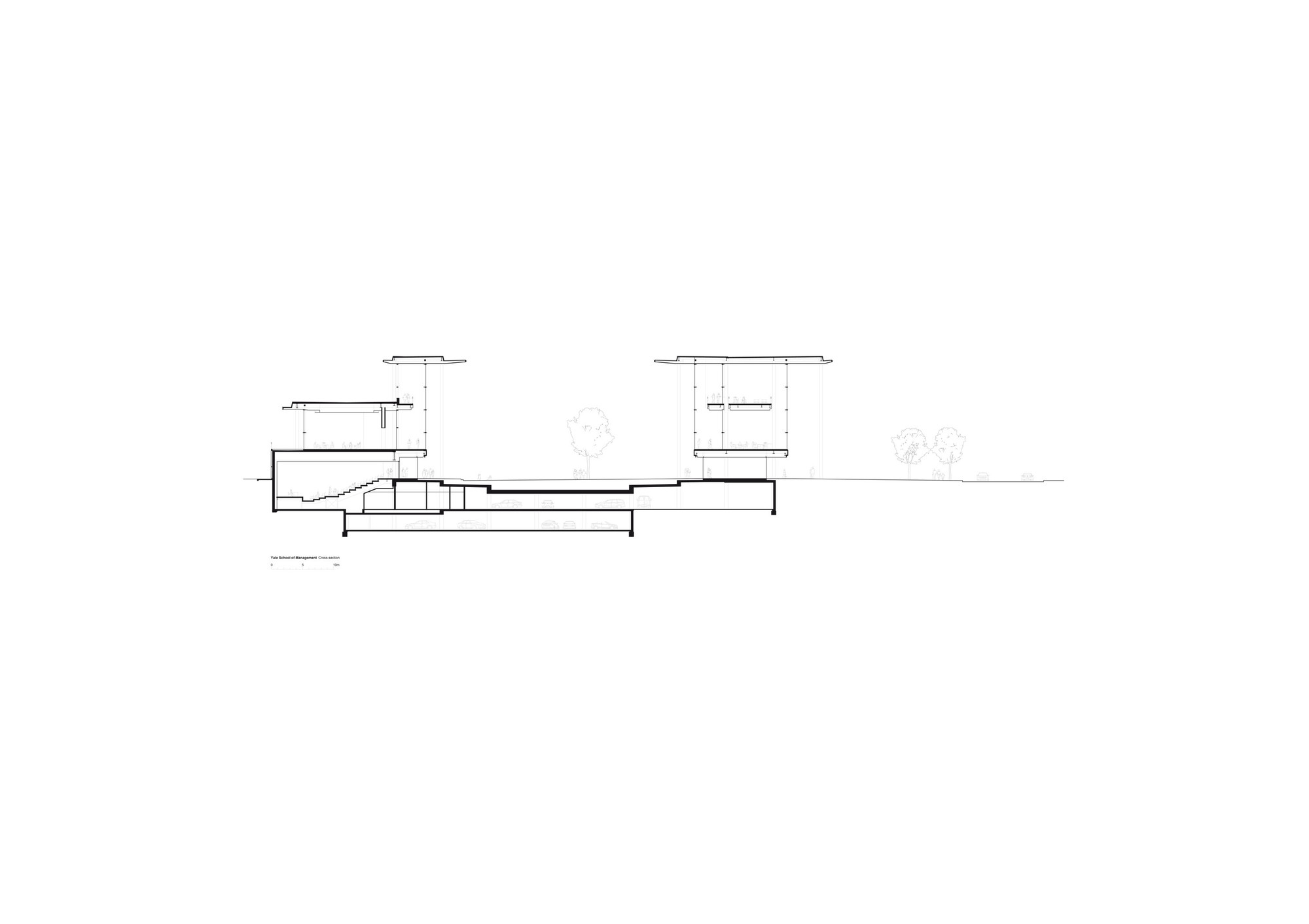 Cross Section
