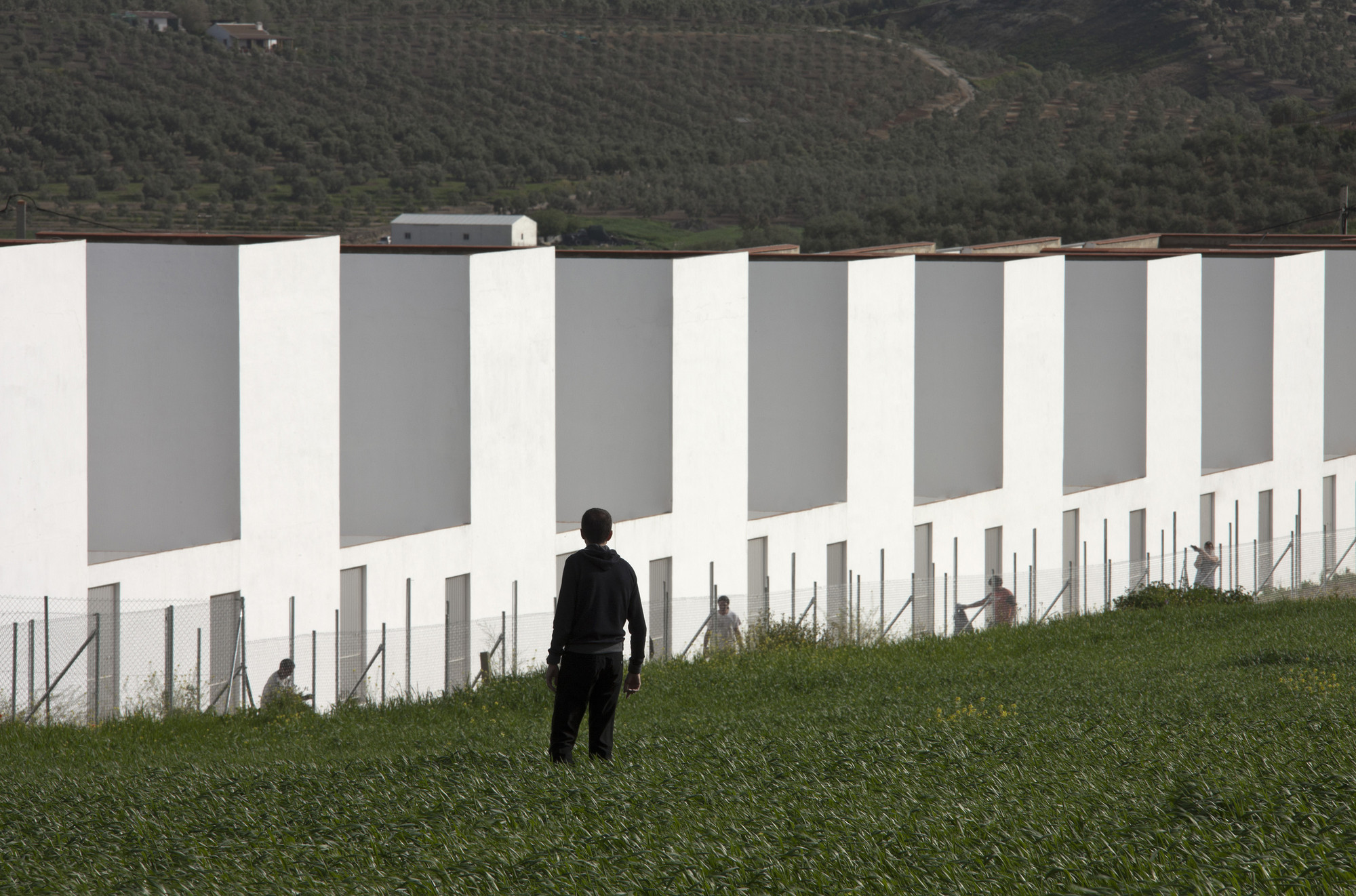 20 Social Dwellings in El Saucejo / Suárez Corchete - Social Housing