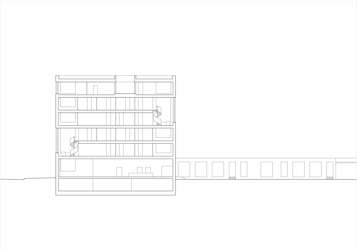 Longitudinal Section