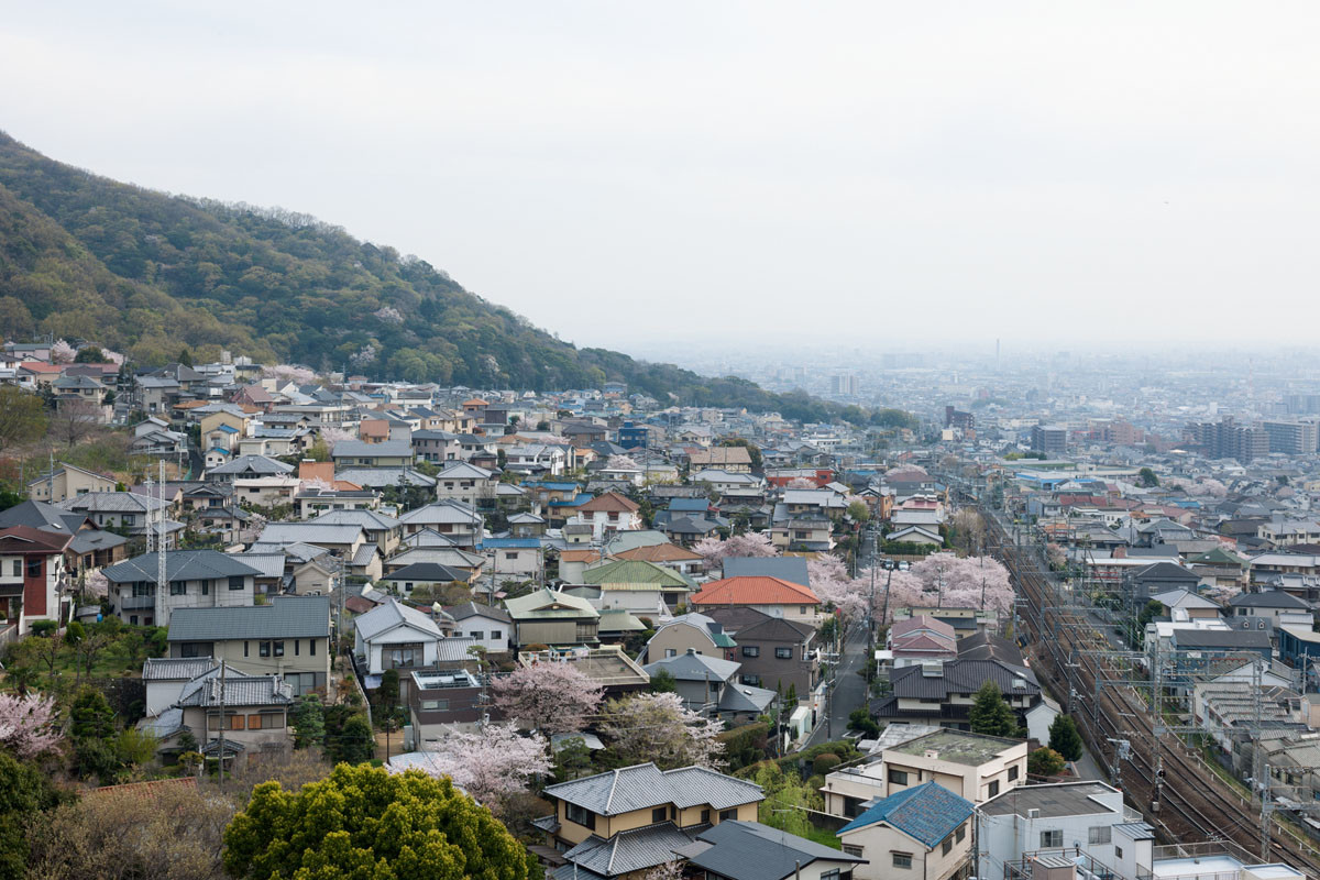 © Takumi Ota