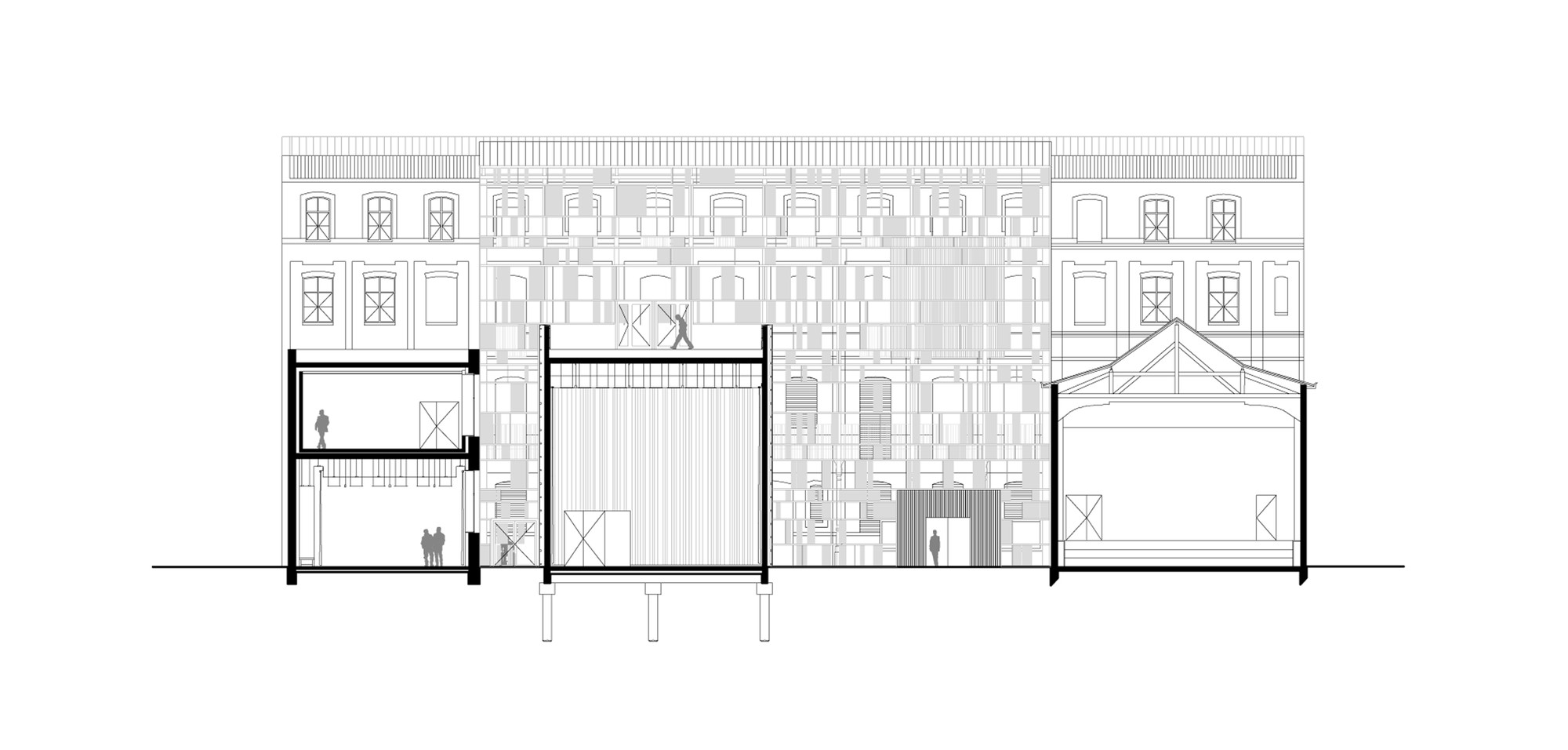 Longitudinal Section 1