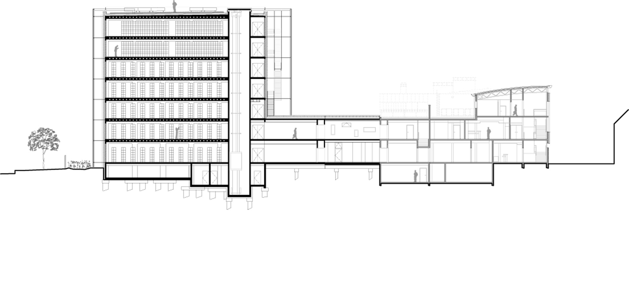 Section