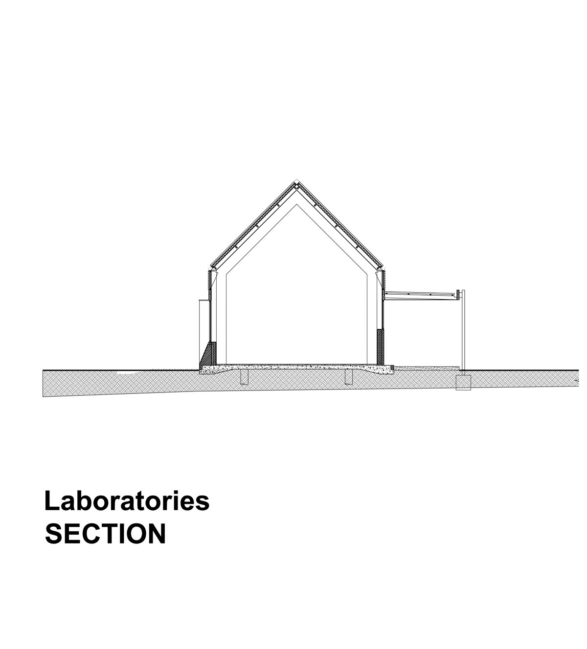 Gallery of The International School of Hout Bay / Luis Mira Architects