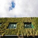 Arquitetura e Paisagem: Jardim Vertical do Palácio de Congressos de Vitoria-Gasteiz por Urbanarbolismo e Unusualgreen - Arquitetura Paisagística