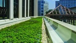 For Flood Prevention, We Need to Raise Our Game (And Flatten Our Roofs)