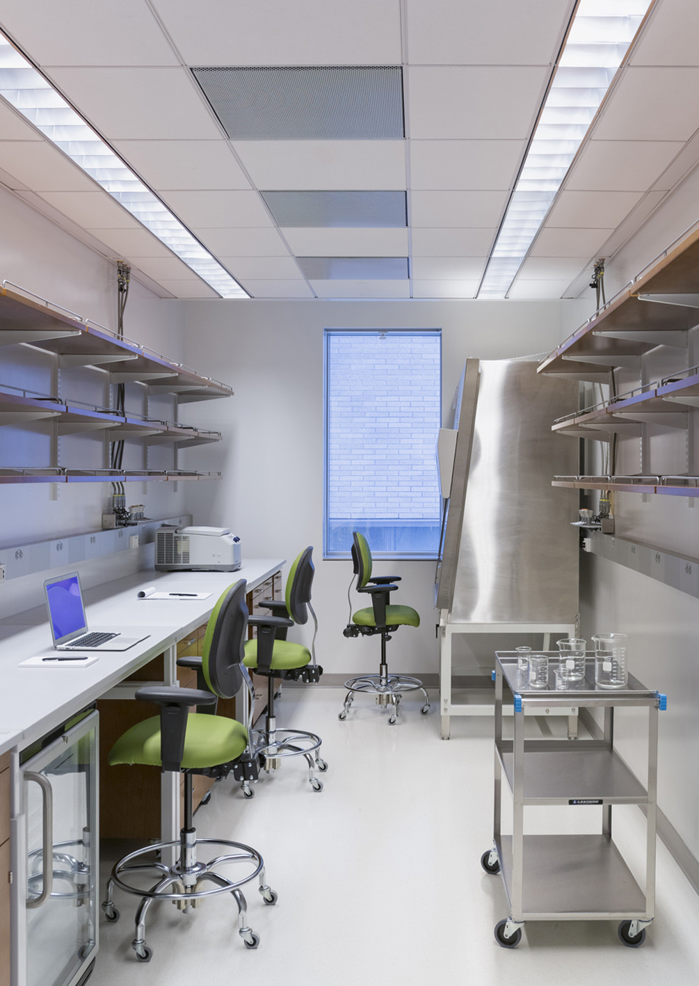 Gallery of Weill Cornell Medical College Belfer Research Building