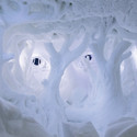 A Place to Chill: Sweden's Ice Hotel - Image 2 of 4