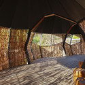 Exhibición Lemur  / Snowdon Architects - Imagen 4 de 17