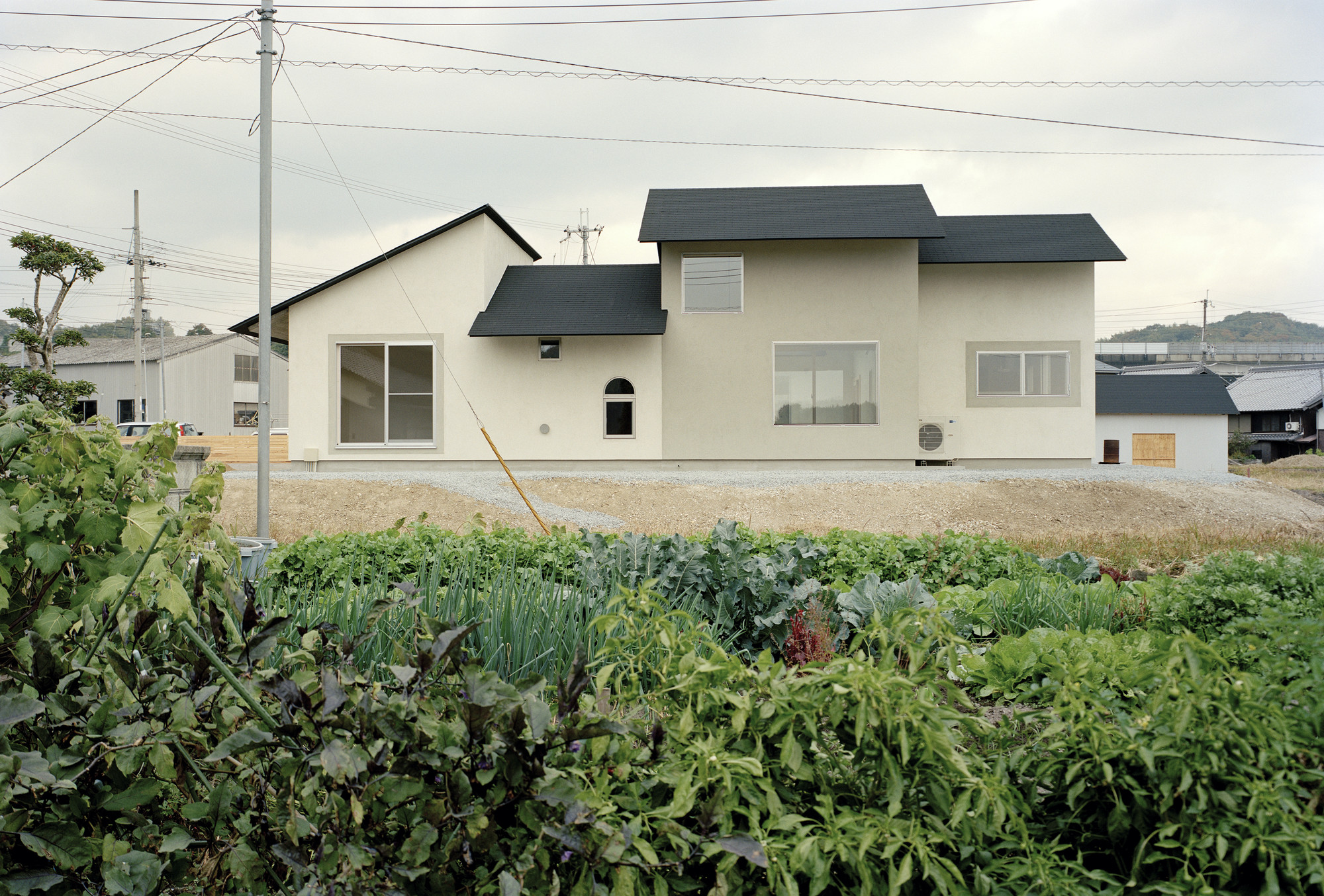 © Takeshi Yamagishi