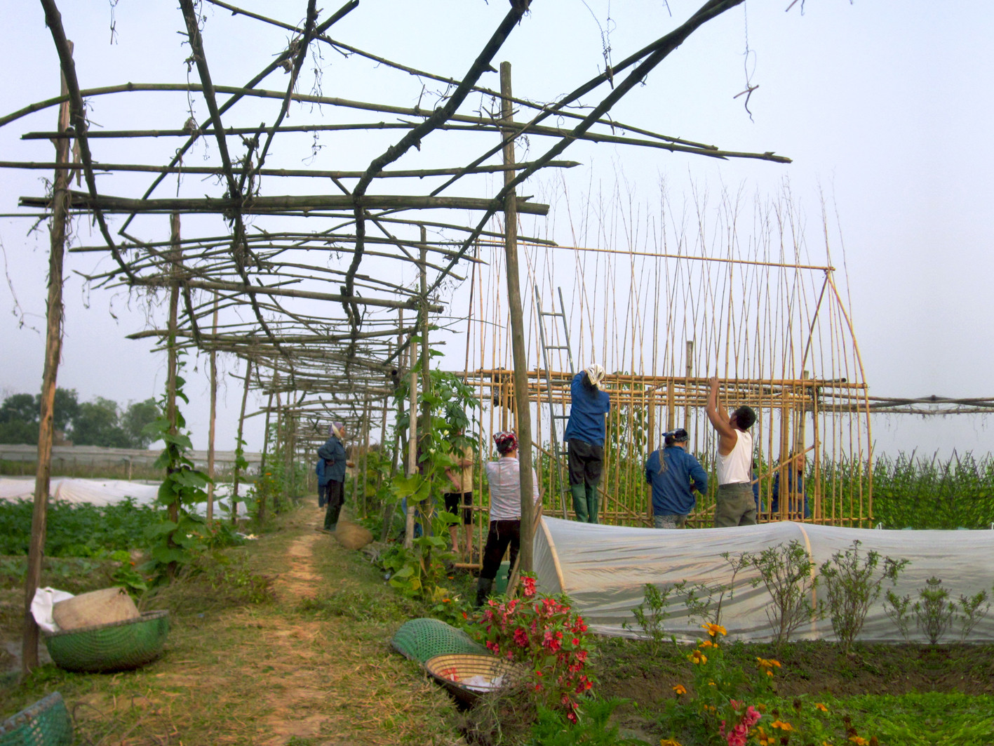 Gallery Of Vegetable Nursery House 1 2 International Vegetable Nursery House Courtesy Of 1 2 International Architecture Jsc