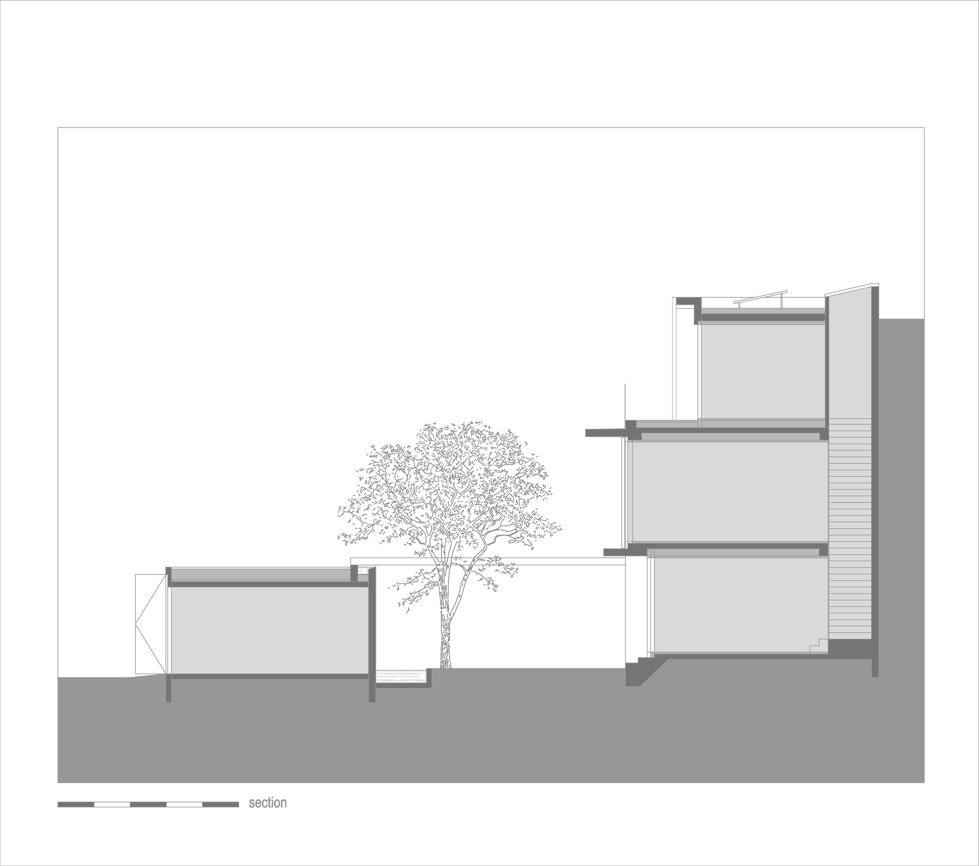 Section