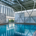AISJ Aquatic Center / Flansburgh Architects - Windows