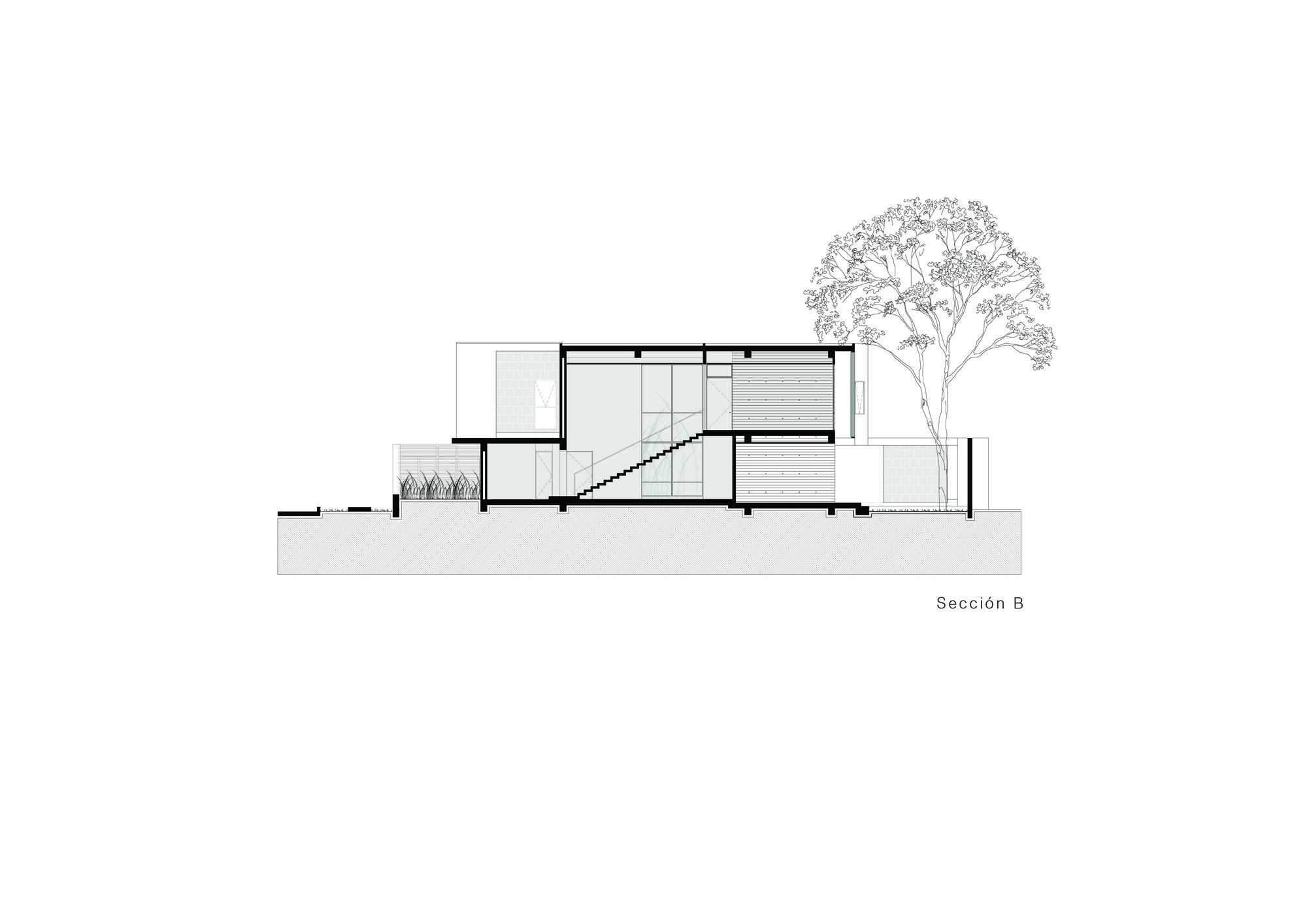 Section