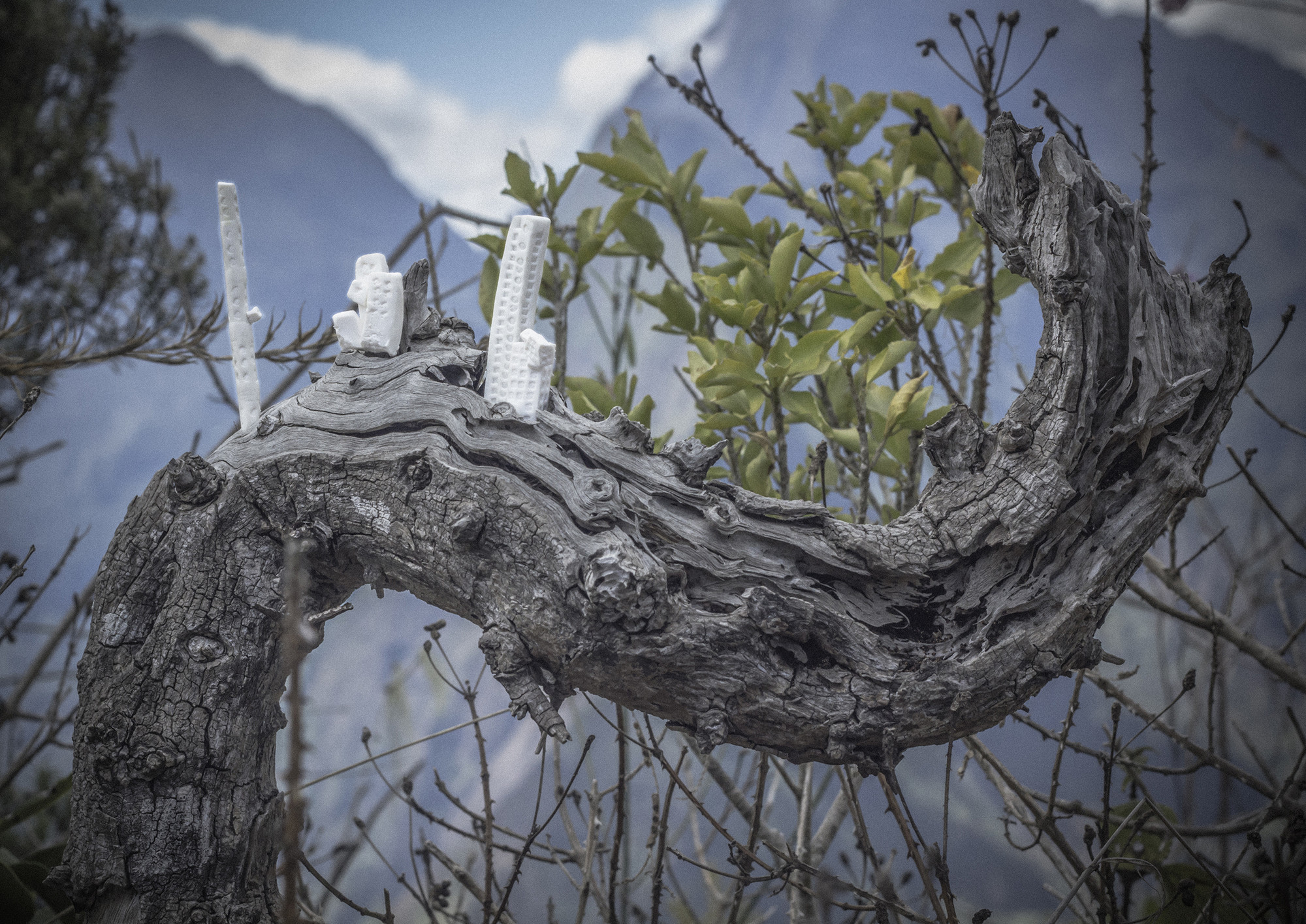 Arte y Arquitectura: Invasión por Chico Santos - Más Imágenes