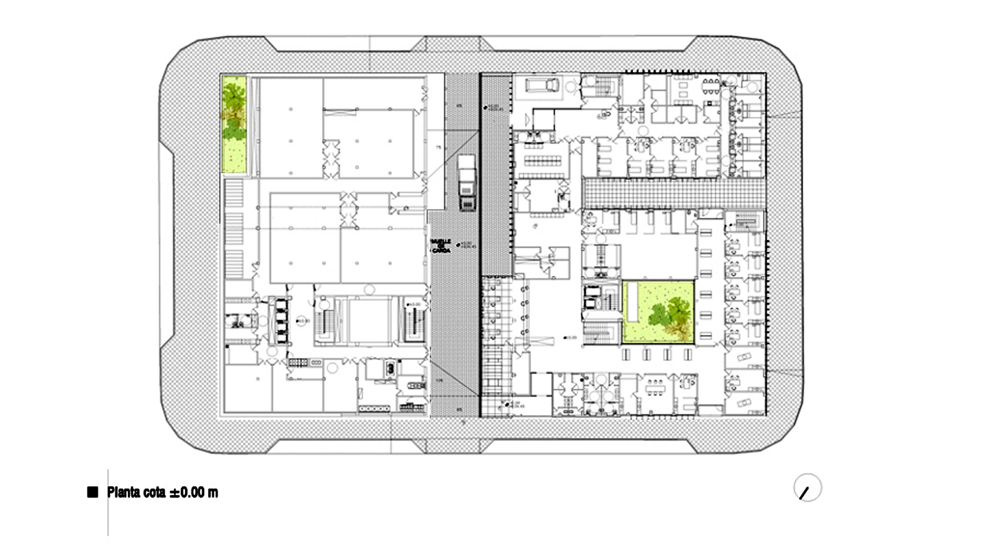 Planta