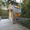 Treehouse Solling / baumraum - Stairs, Handrail, Forest, Deck