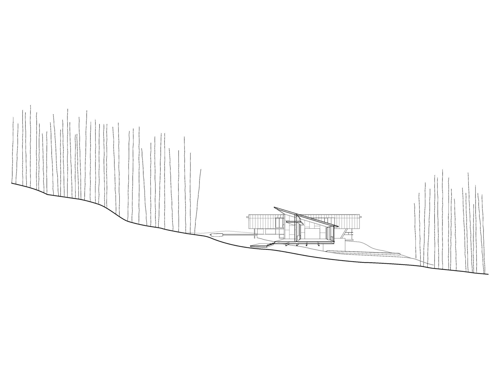 Section