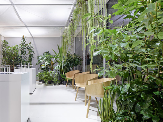 Burkhardt Leitner constructiv exhibition  / Ippolito Fleitz Group - Garden, Courtyard