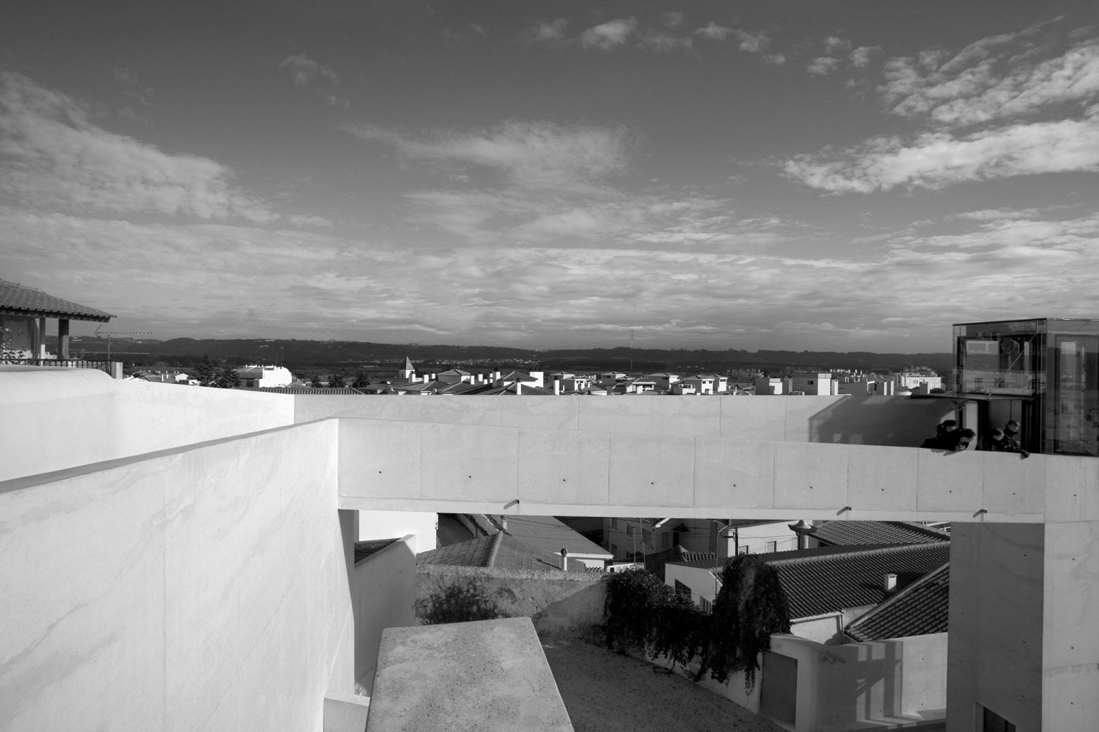 © José Manuel Rodrigues