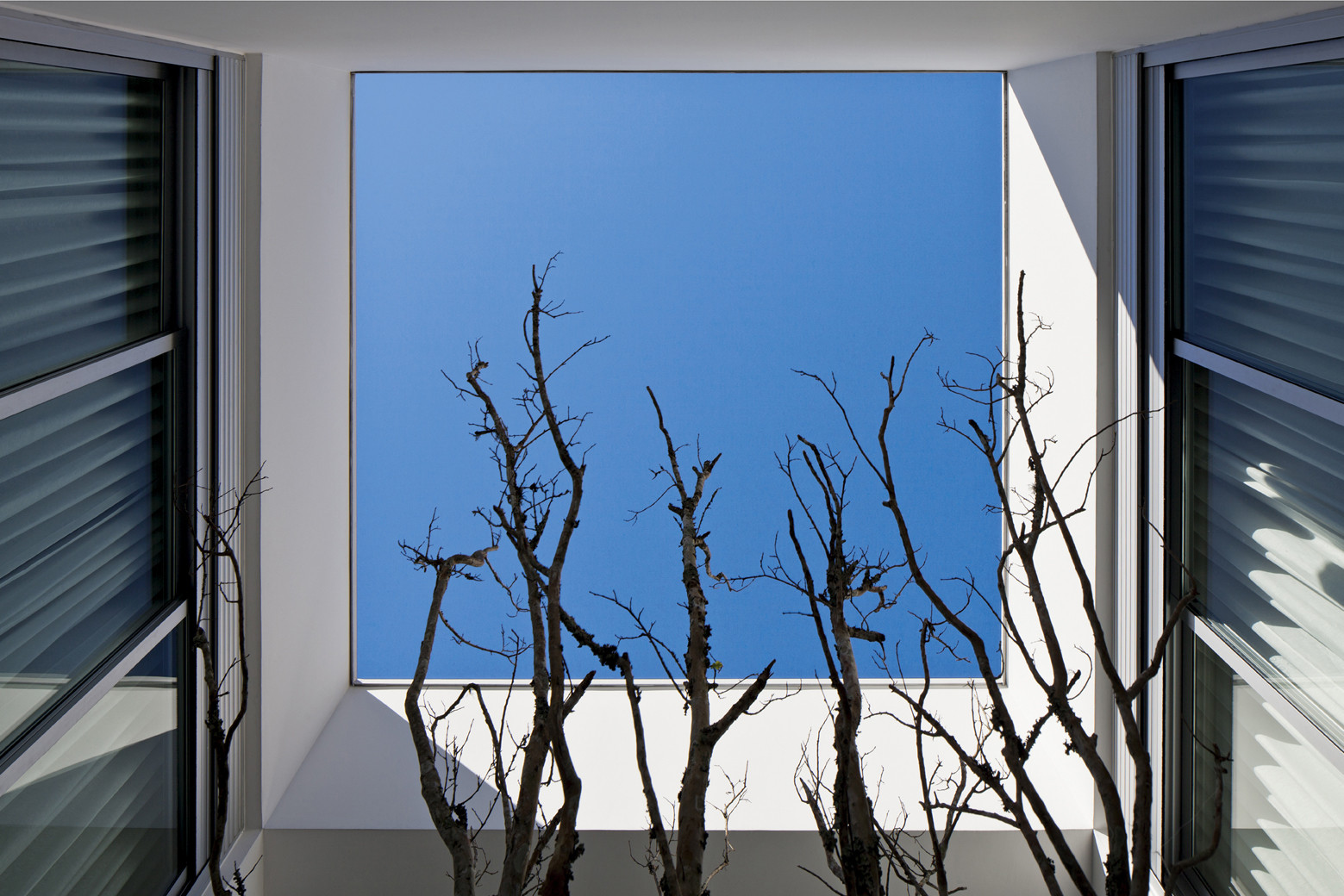 12_59901_20X30_120713_028D.jpg?1400126777