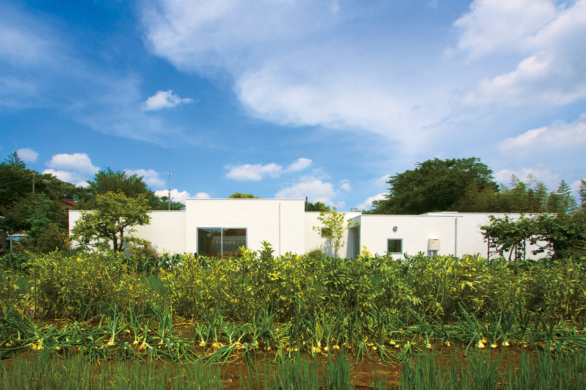© Naomi Kurozumi Architectural Photographic Office