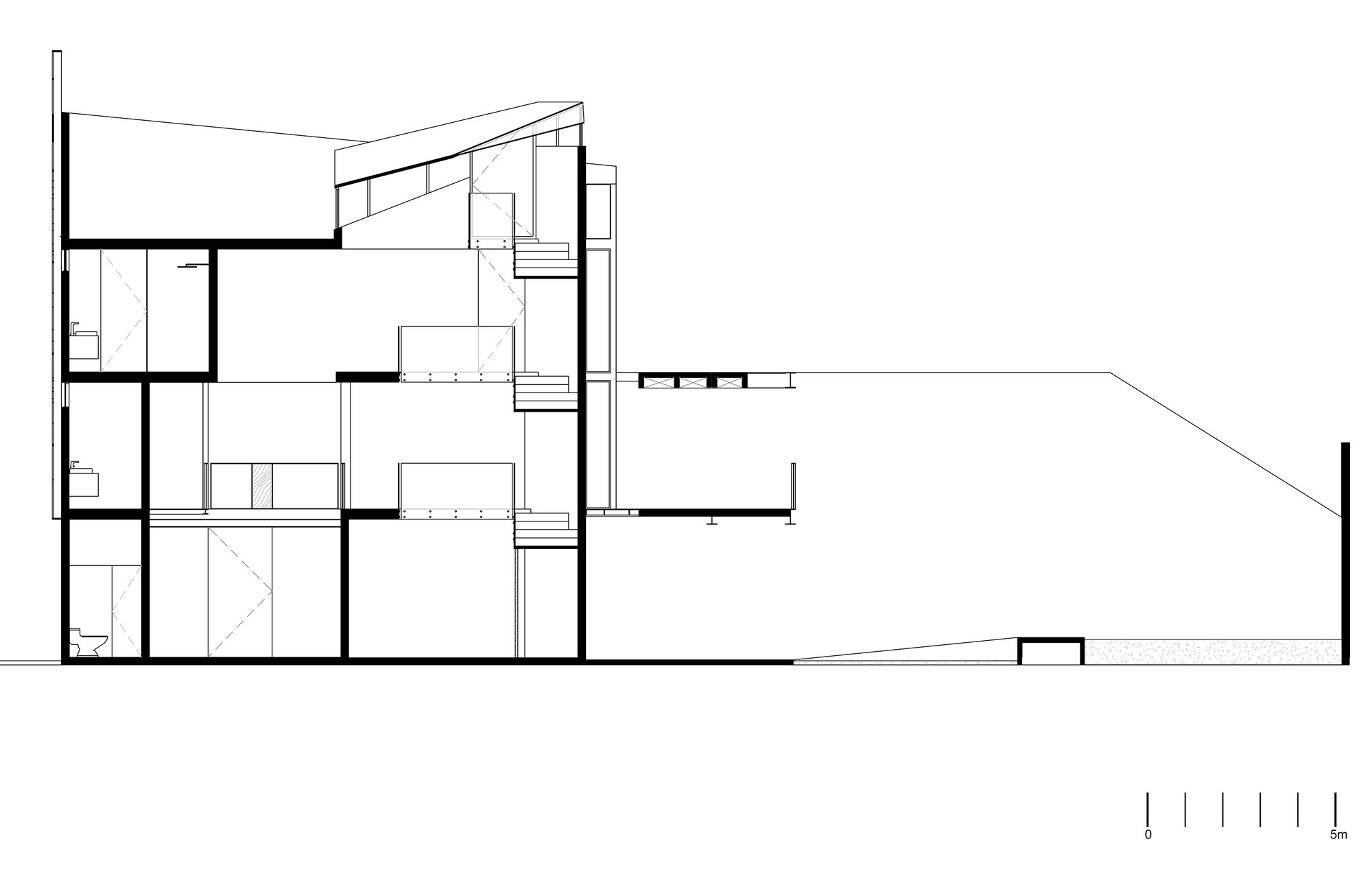 Longitudinal Section