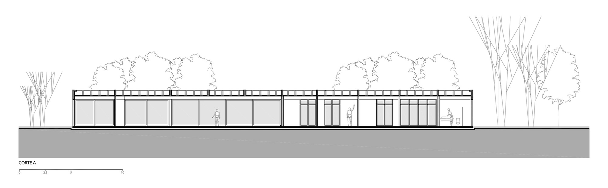 Section