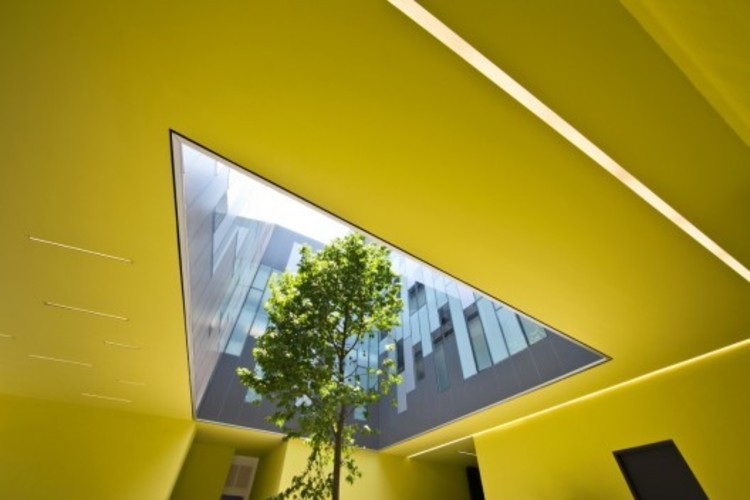 Entrevista: Francisco Pardo y Julio Amezcua / at103 - Más Imágenes