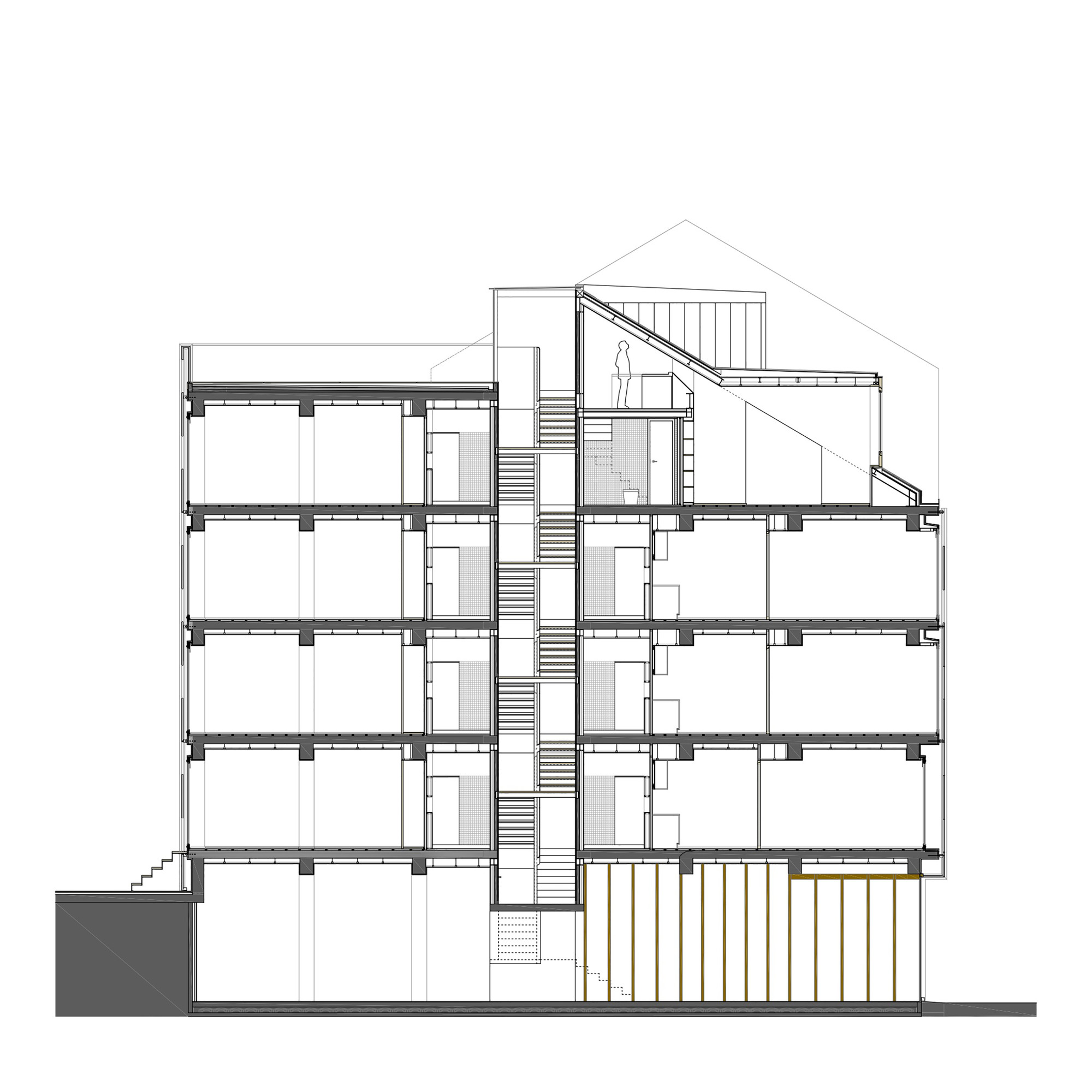 Longitudinal Section