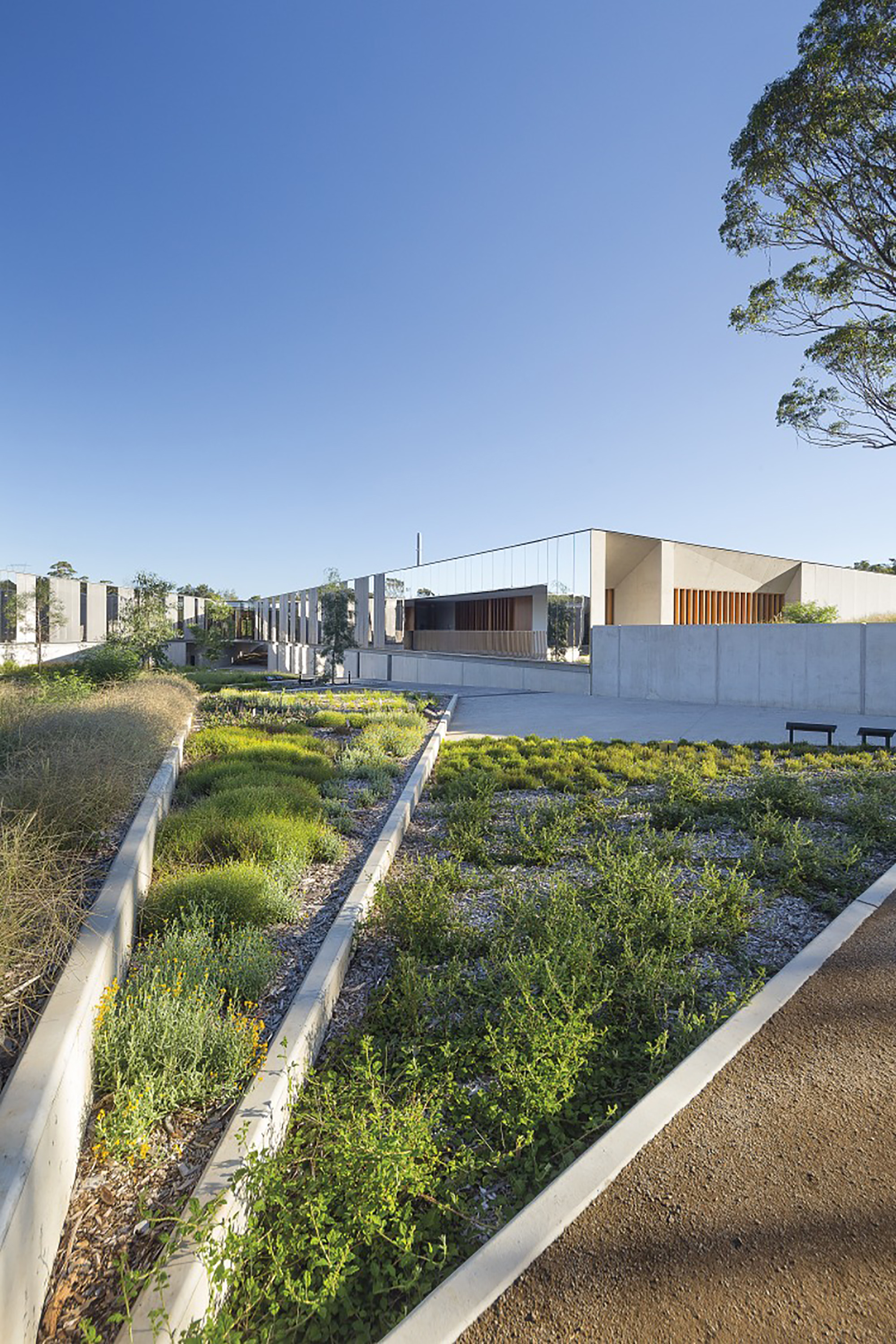 gallery-of-australian-plant-bank-bvn-6