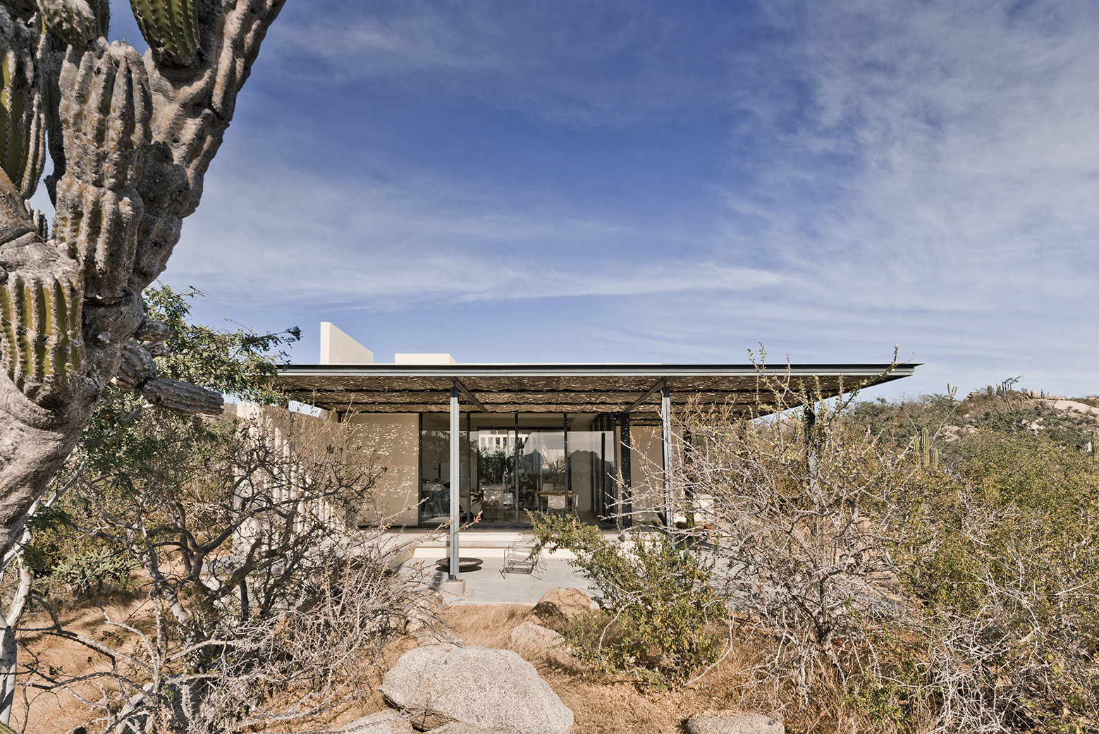 Zacatitos 02 / Campos Leckie Studio, © John Sinal