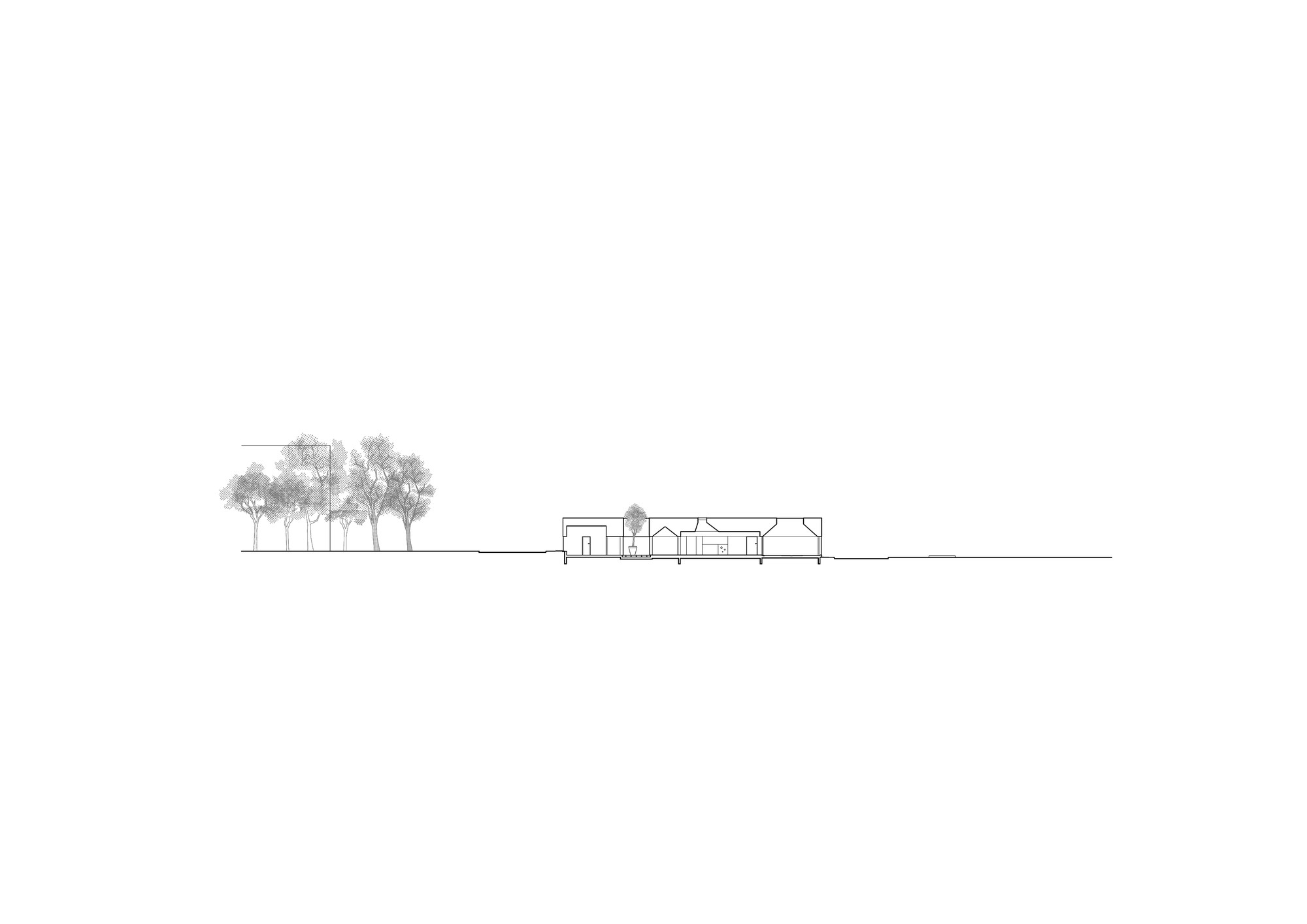 Section