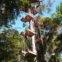 Treehouse Lodge: Imponentes estructuras de madera para adentrarse en la selva amazónica del Perú - Image 1 of 4