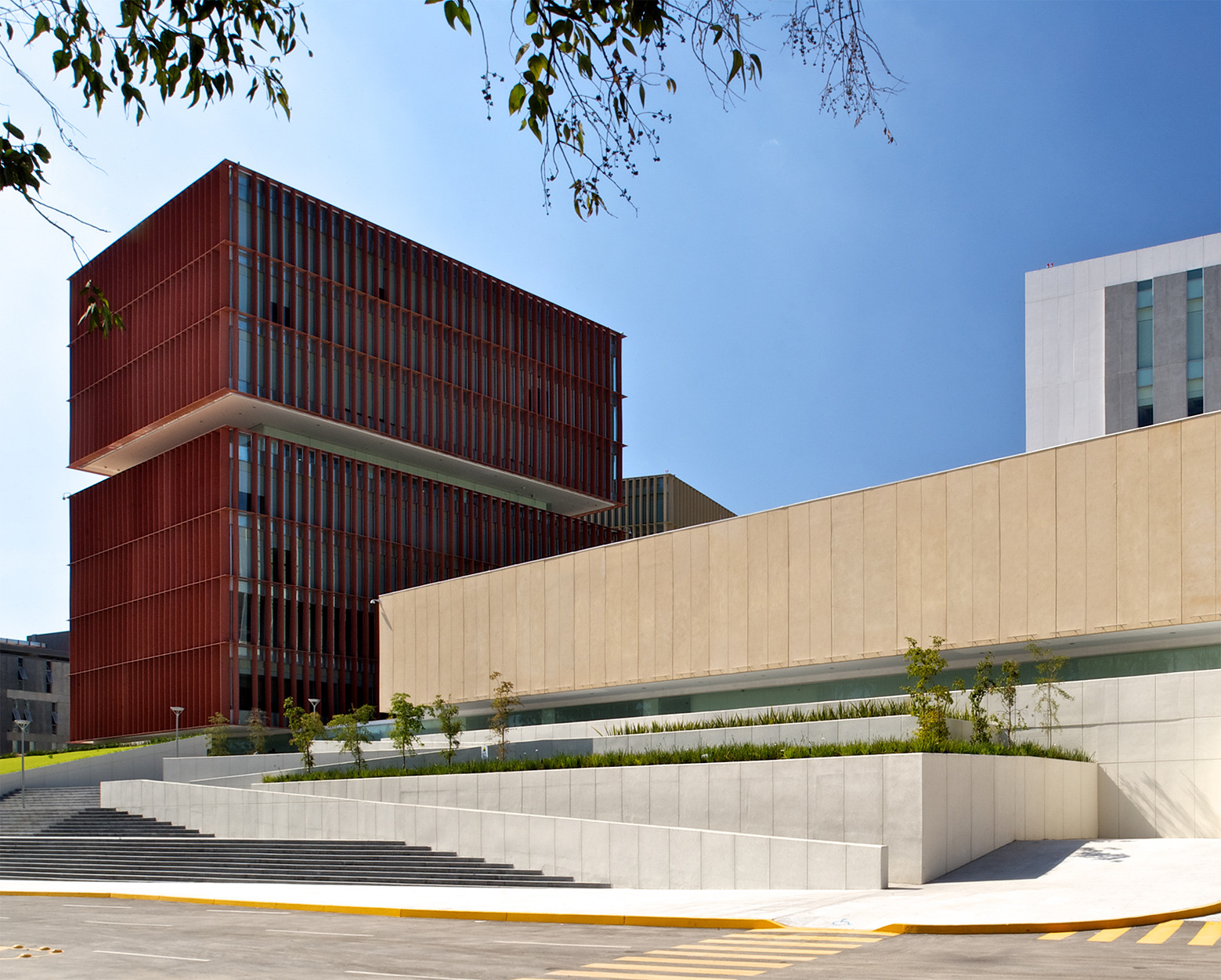 © Gerardo Cárdenas
