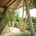 This Temporary Treetop Hotel Lets You Sleep "With the Birds" - Image 1 of 4