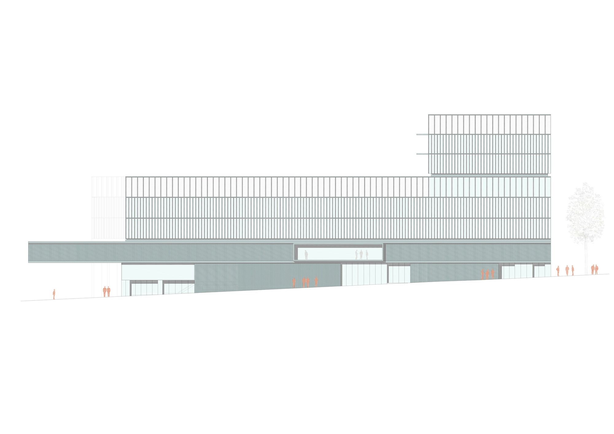 Elevation