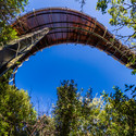 Pasarela entre las copas de los árboles Kirstenbosch Centenary / Mark Thomas Architects - Puentes